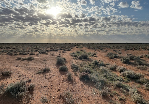 Radium Hill Project